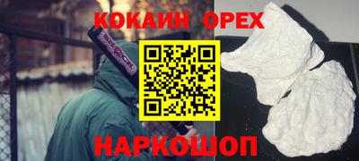 индика Новодвинск