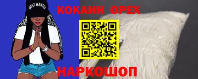 сатива Новозыбков
