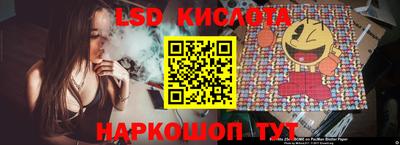 сатива Новозыбков