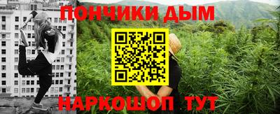 индика Новодвинск