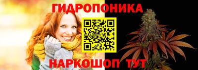 сатива Новозыбков