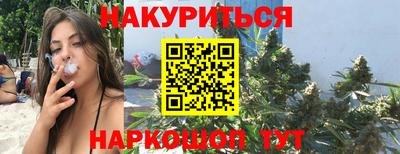 сатива Новозыбков