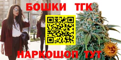 индика Новодвинск