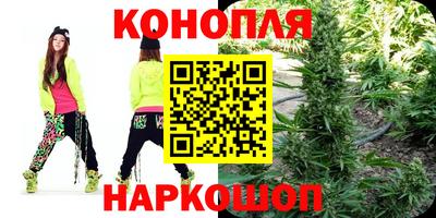 индика Новодвинск