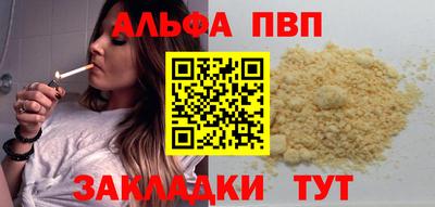 индика Новодвинск