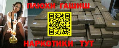 индика Новодвинск
