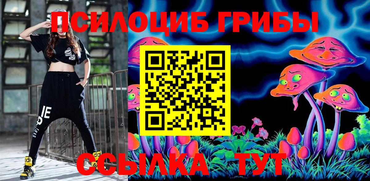 Псилоцибиновые грибы Psilocybine cubensis  как найти наркотики  Дятьково  Галлюциногенные грибы прущие грибы  Вход с VPN 